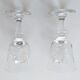 Duo of liqueur glasses