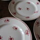 Lot 5 plates Plates Red Flowers Moulin des Loups Richard