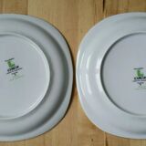 7 assiettes à dessert porcelaine fleurs roses