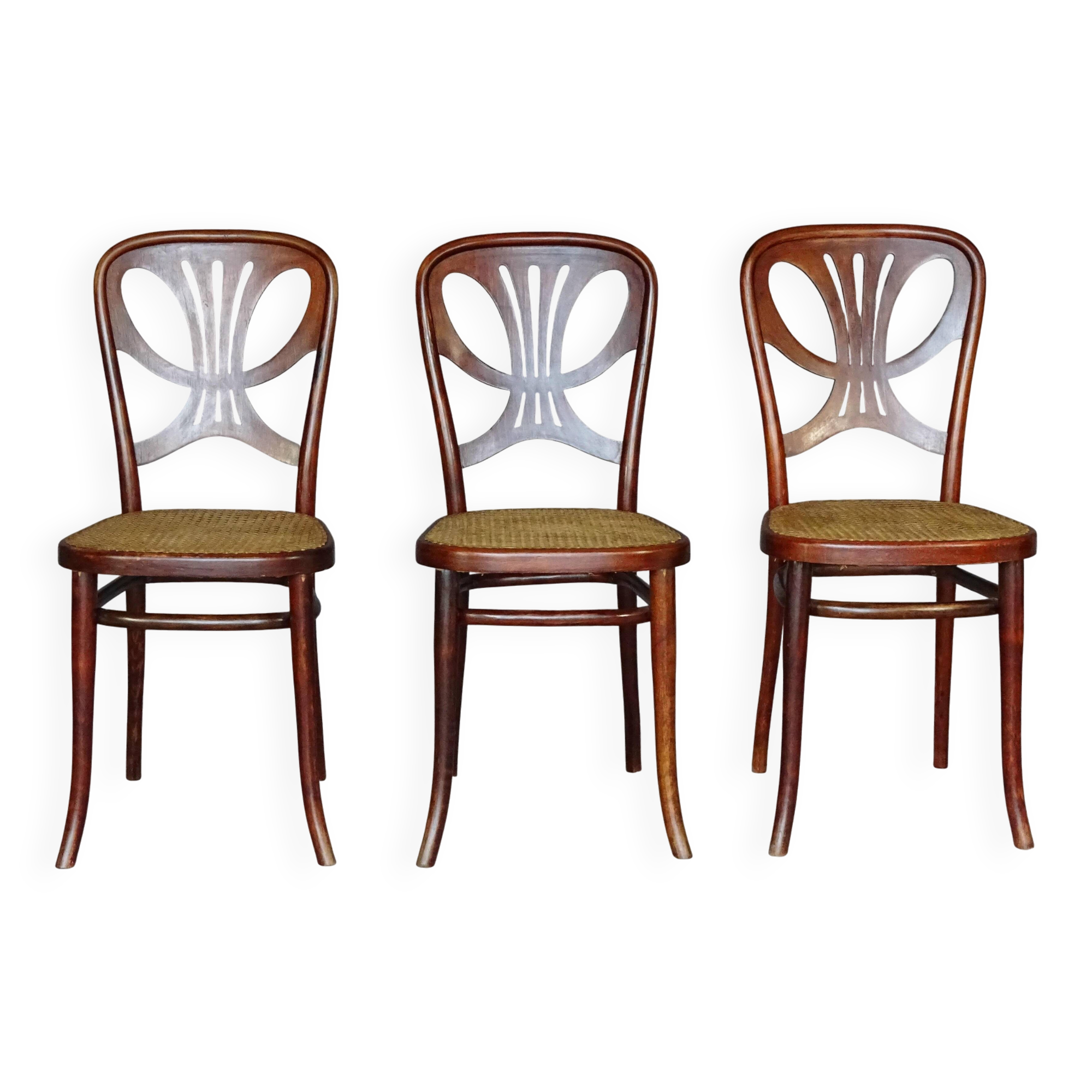 3 Thonet chairs No. 642 from 1910 "rare butterfly model"