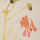 Watercolor illustration flowers