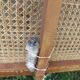 Rattan head or footboard