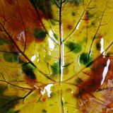 Vintage ceramic slip autumn leaf cup
