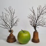 Pair of black fan corals on turned wooden base, Height 25 cm