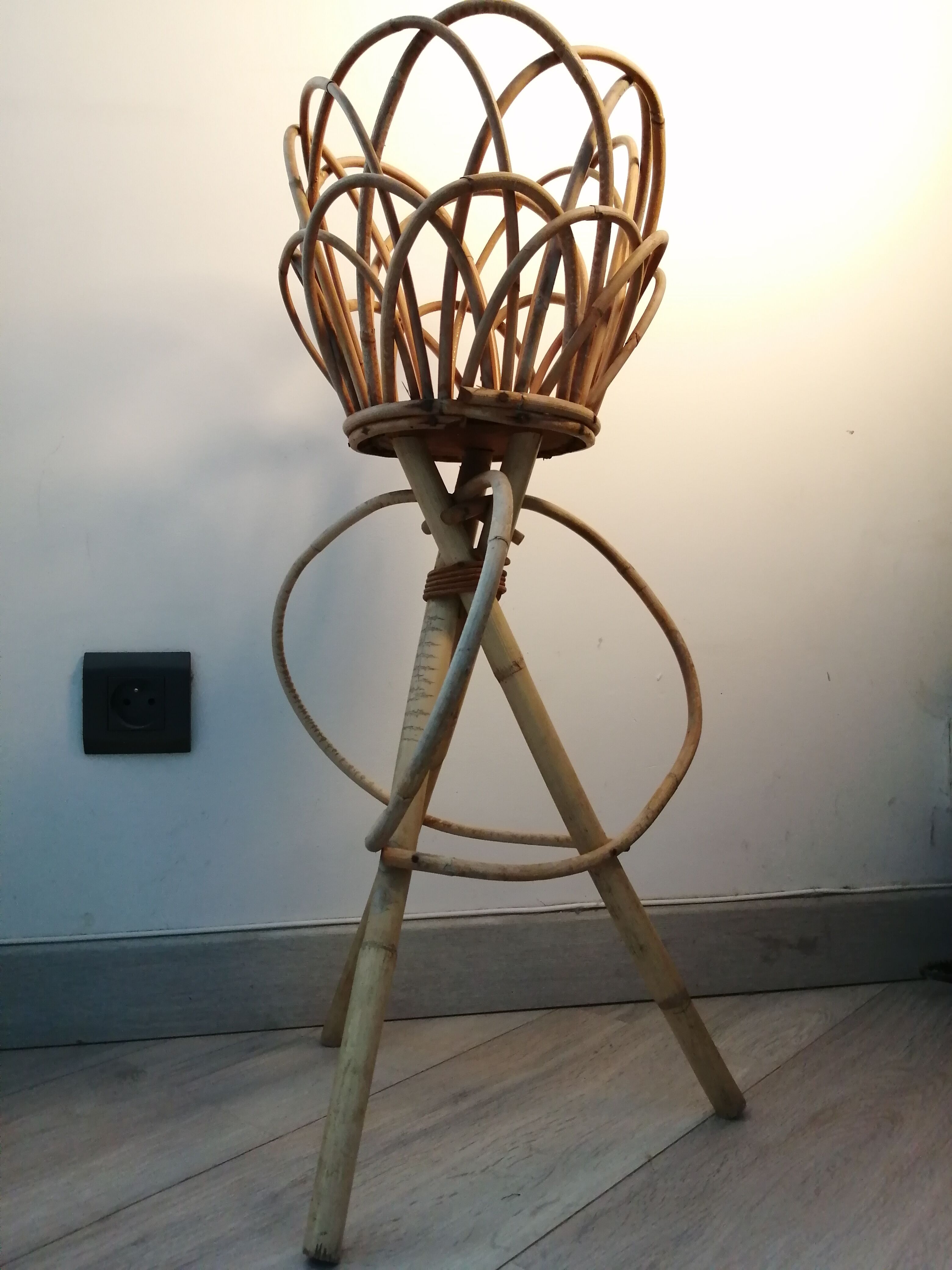 Door rattan plant 60s