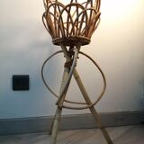Door rattan plant 60s