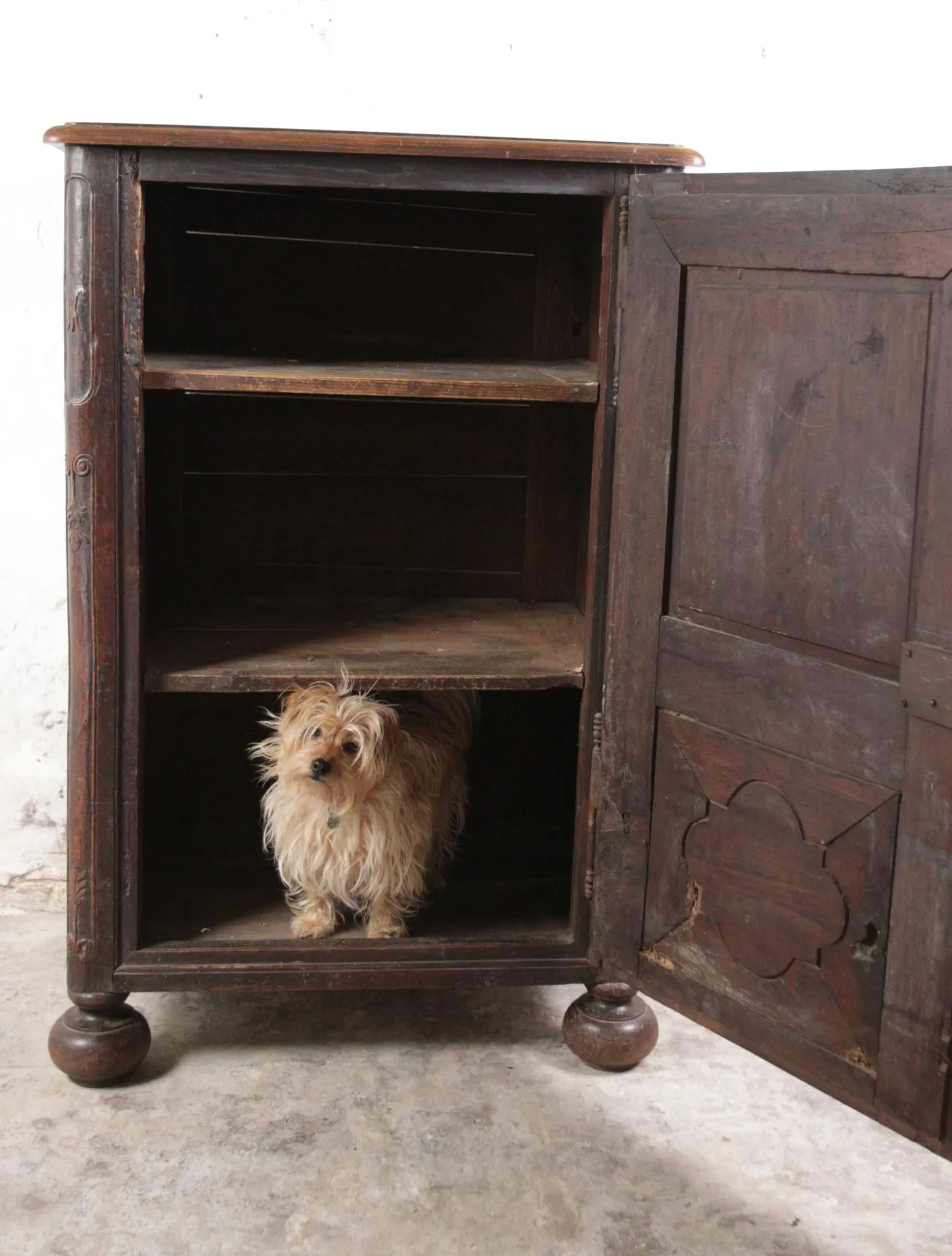 Unique 17th century cabinet portrait and scallop
