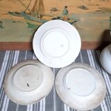 Antique earthenware plates with fruit decoration.