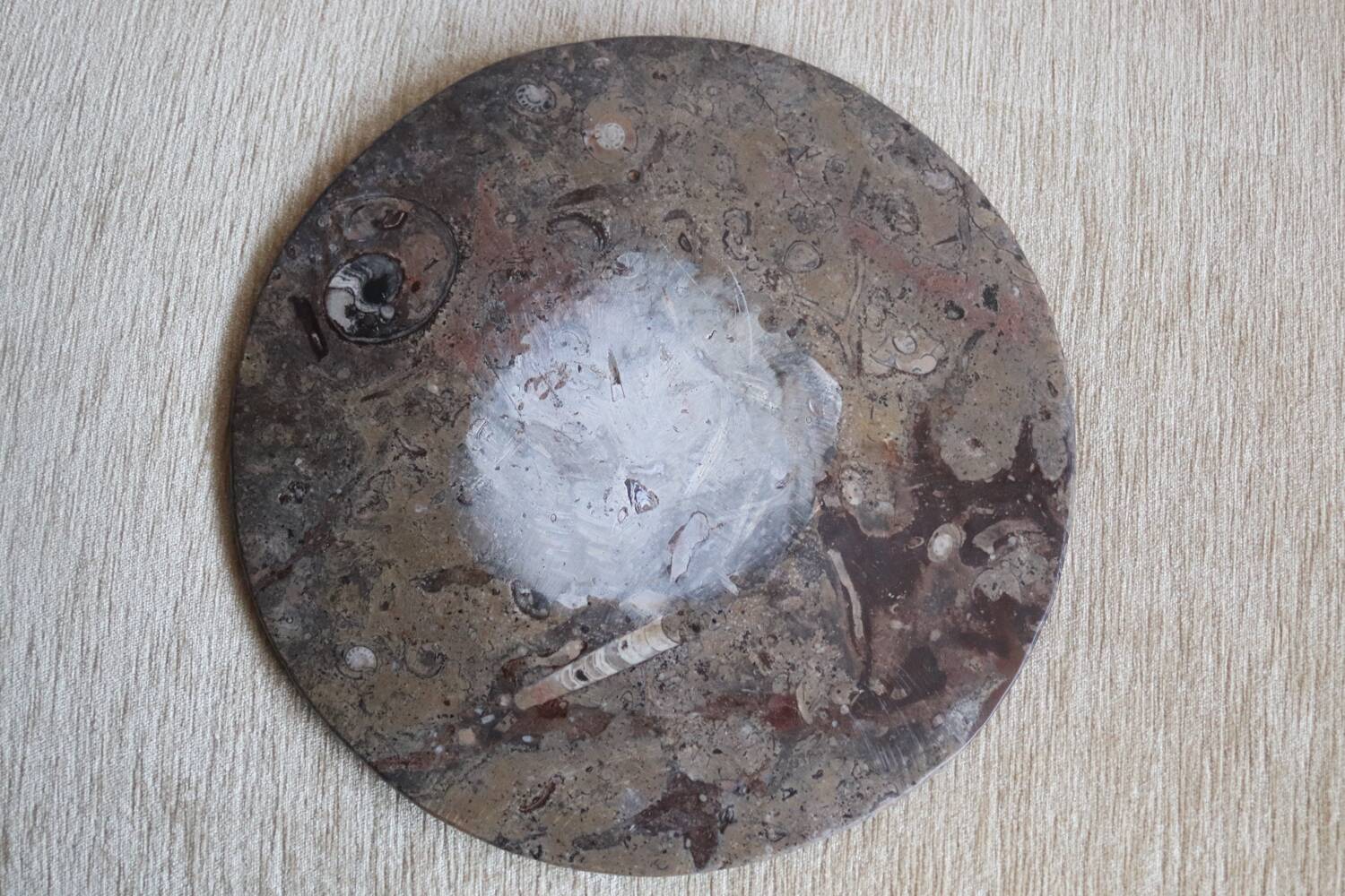 Vintage round fossil stone plate