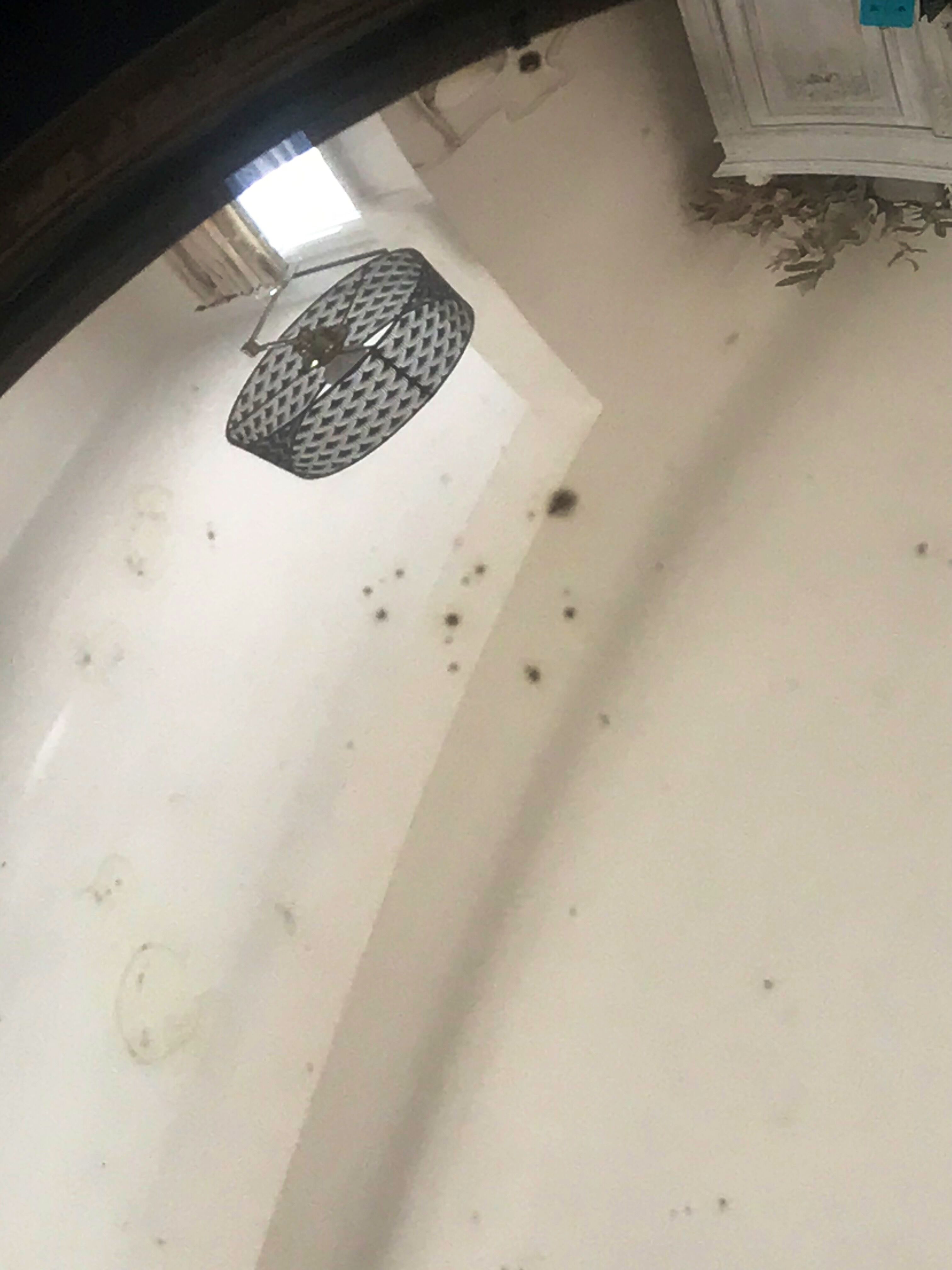 Nineteenth Century Witch's Eye Mirror