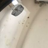 Nineteenth Century Witch's Eye Mirror