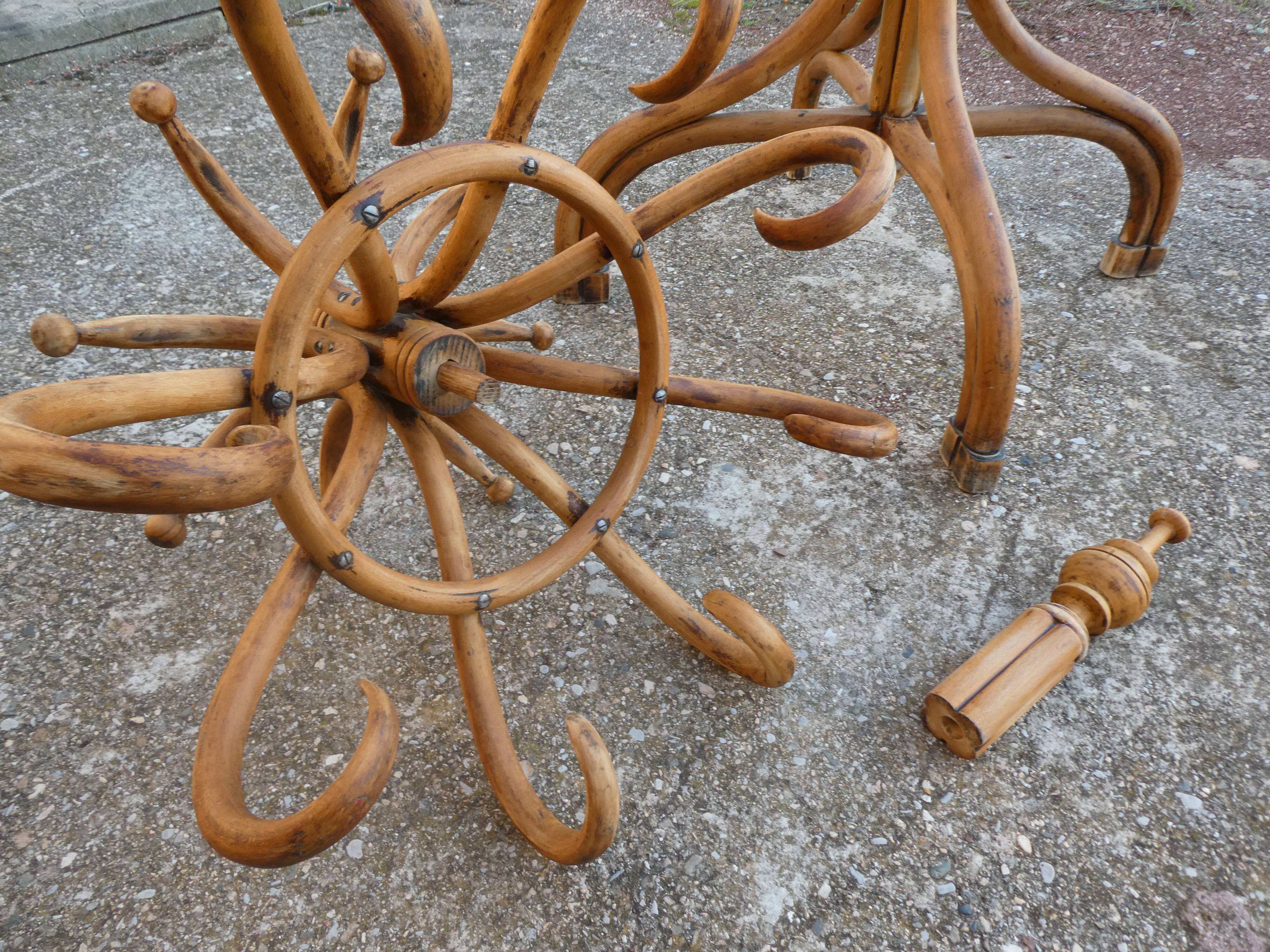 Parrot coat rack in curved wood - Art Nouveau