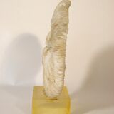 Coral on its resin base