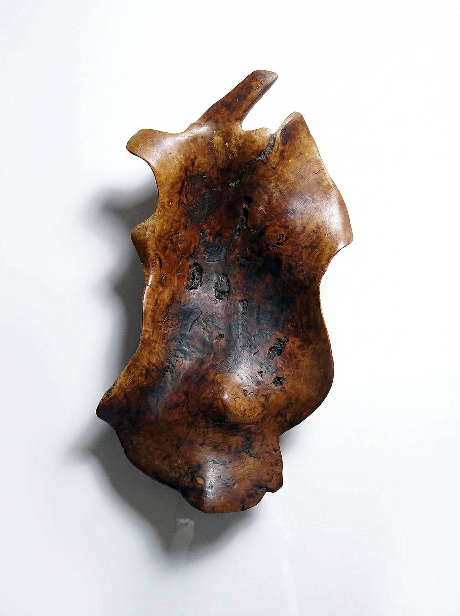 Large monoxyle bowl made of dark raw olive wood from the 1950s.