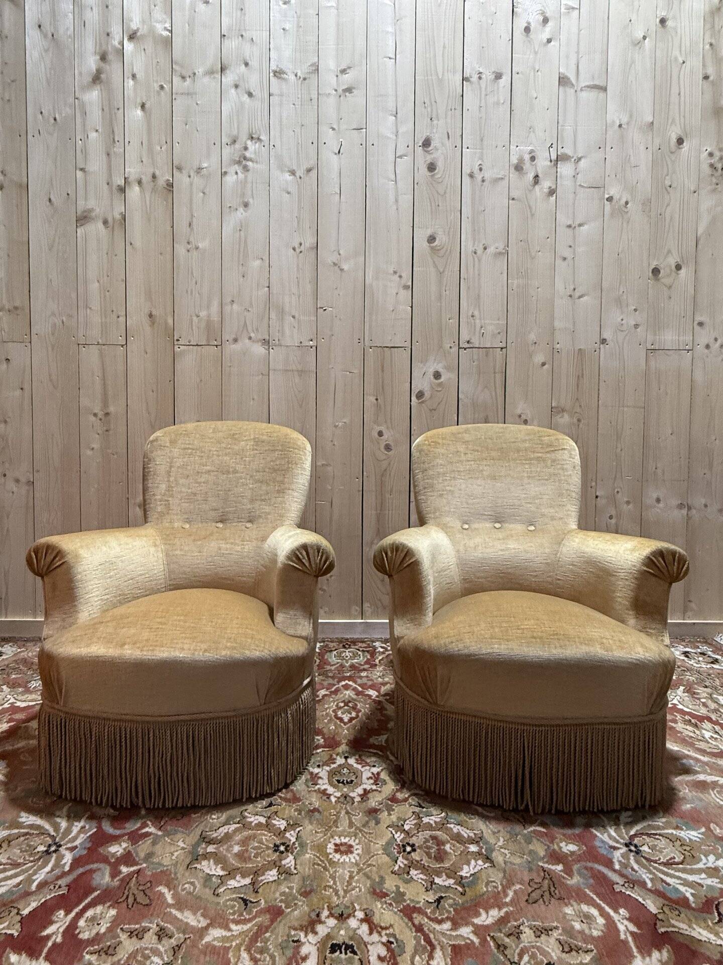 Pair of English-style armchairs in yellow velvet