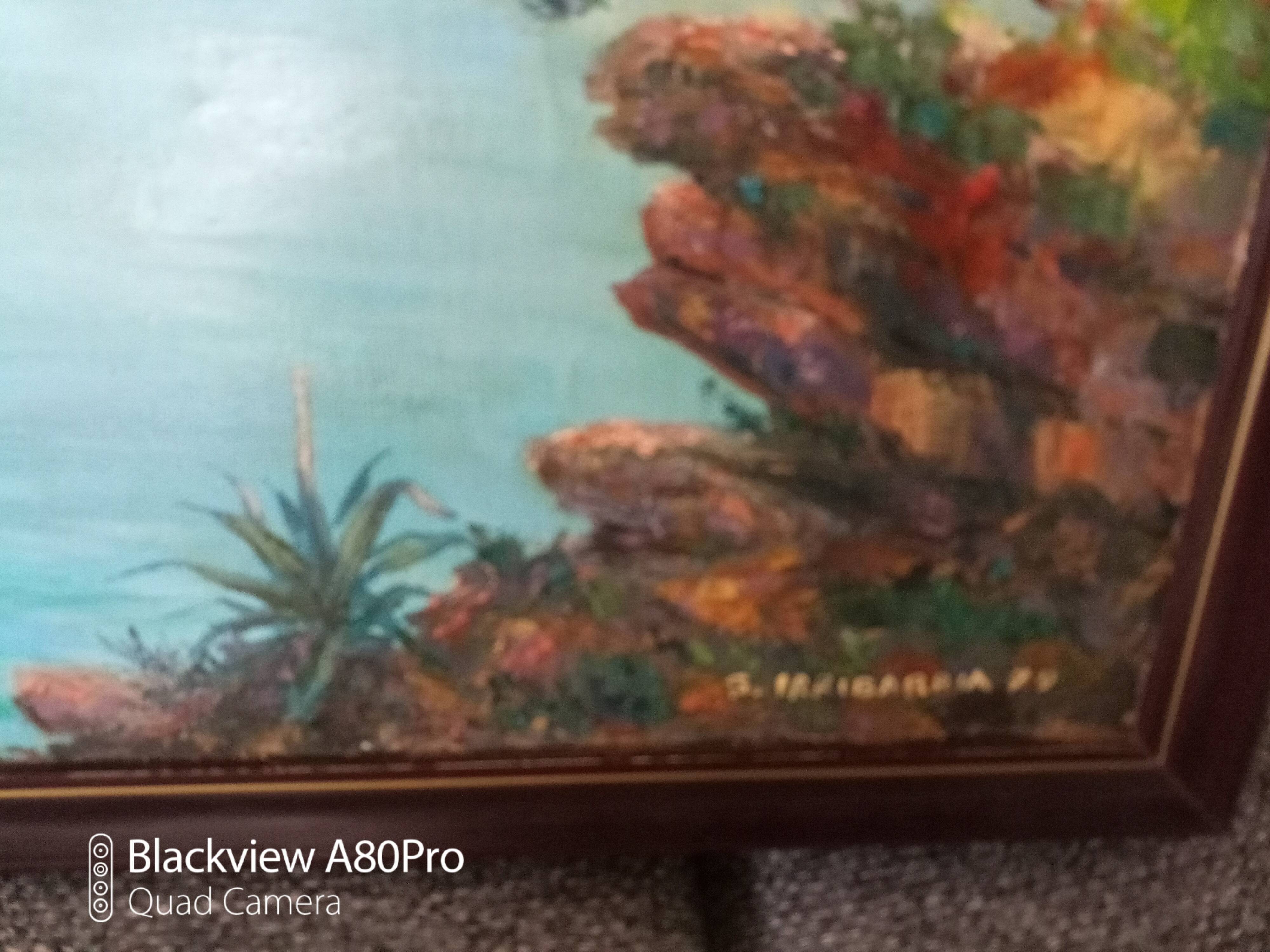 Painting Santiago Irribarria