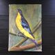 Painting the sparrow of Peru