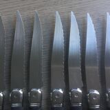 Set of 10 Laguiole Knives