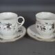 Old coffee set 8 pcs porcelain decoration painted with grapefruit around 1900