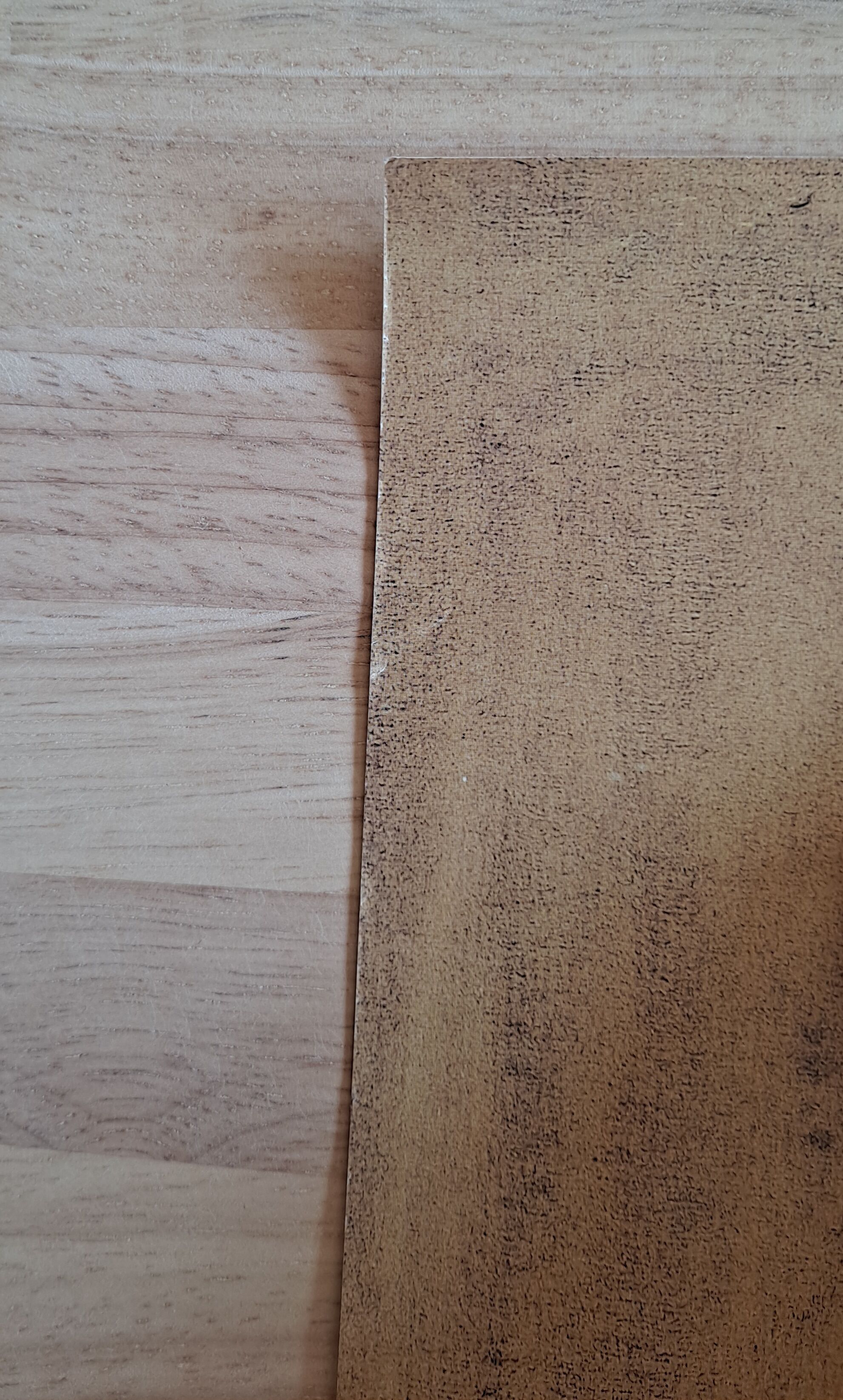 Wilfredo Lam exhibition poster