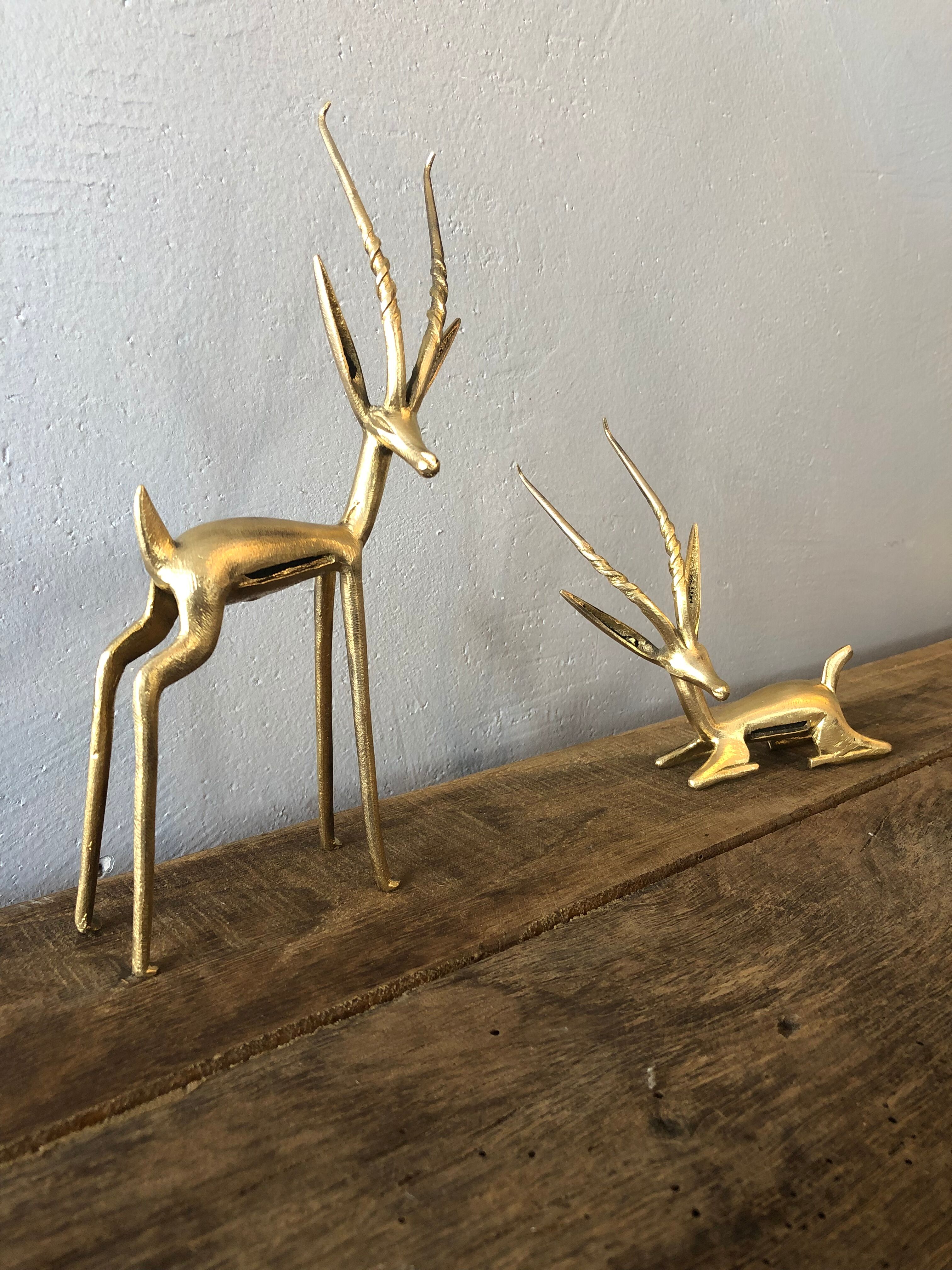 Two golden animal subjects