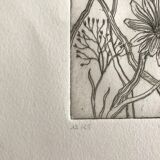 Etching signed by violayne hulné, study of clematis, 1984