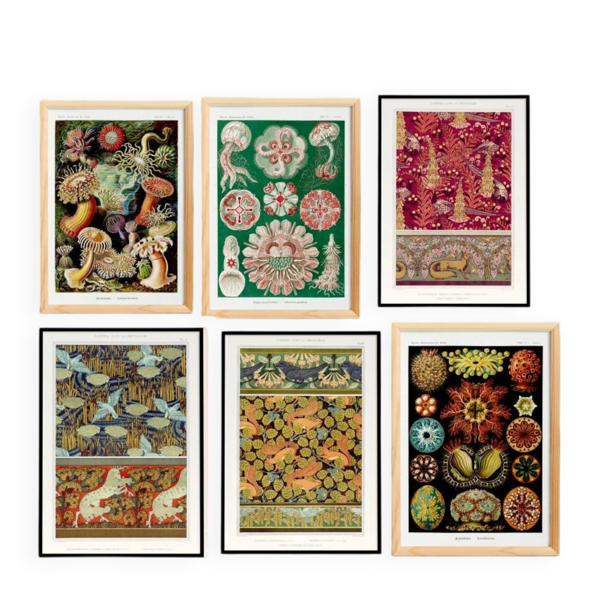 Set of 6 posters
