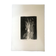 Painting on paper monotype