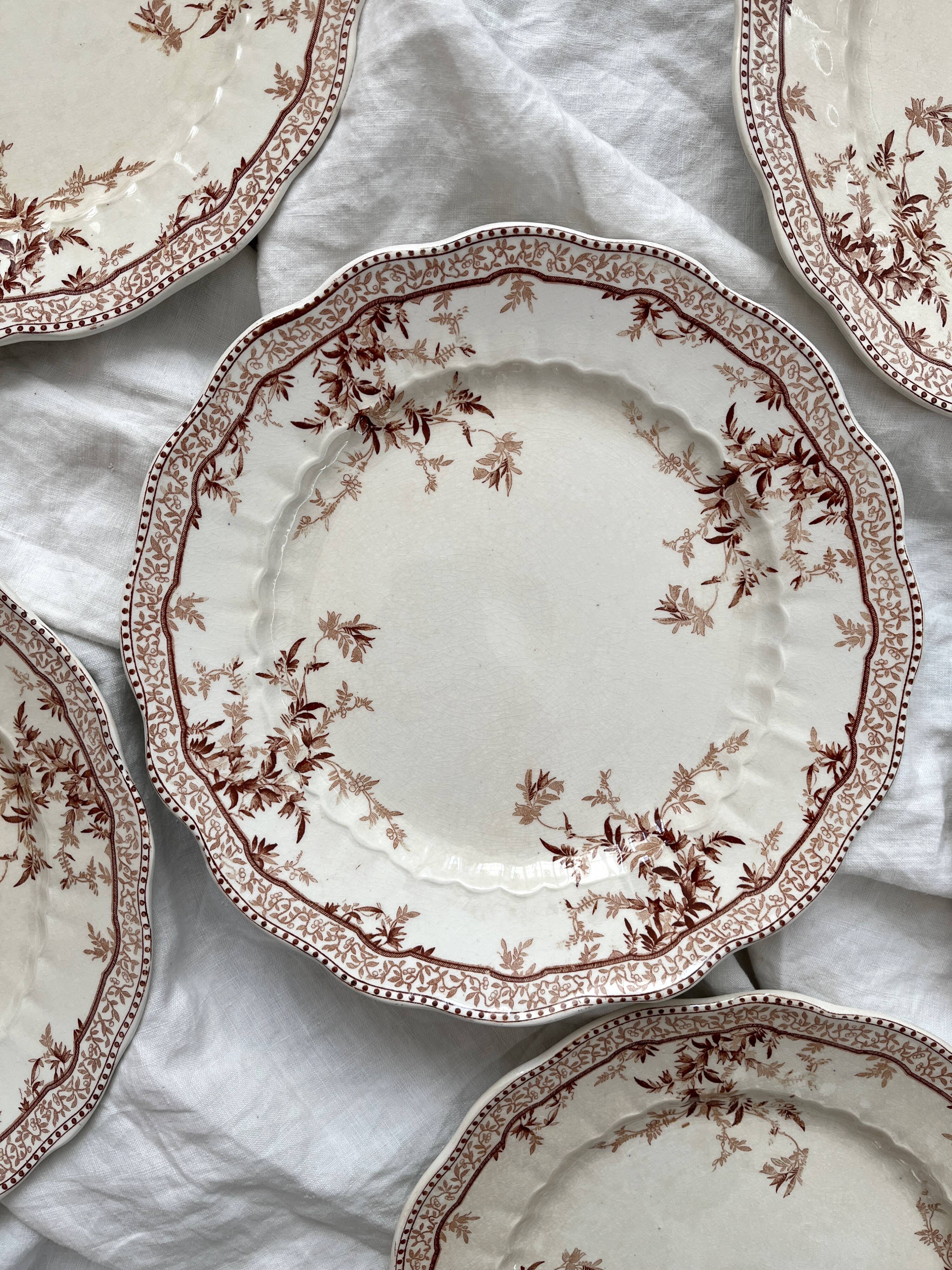8 Ridgways England Royal Semi Porcelain "Eton" Ironstone Dinner Plates