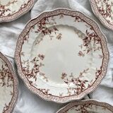 8 Ridgways England Royal Semi Porcelain "Eton" Ironstone Dinner Plates