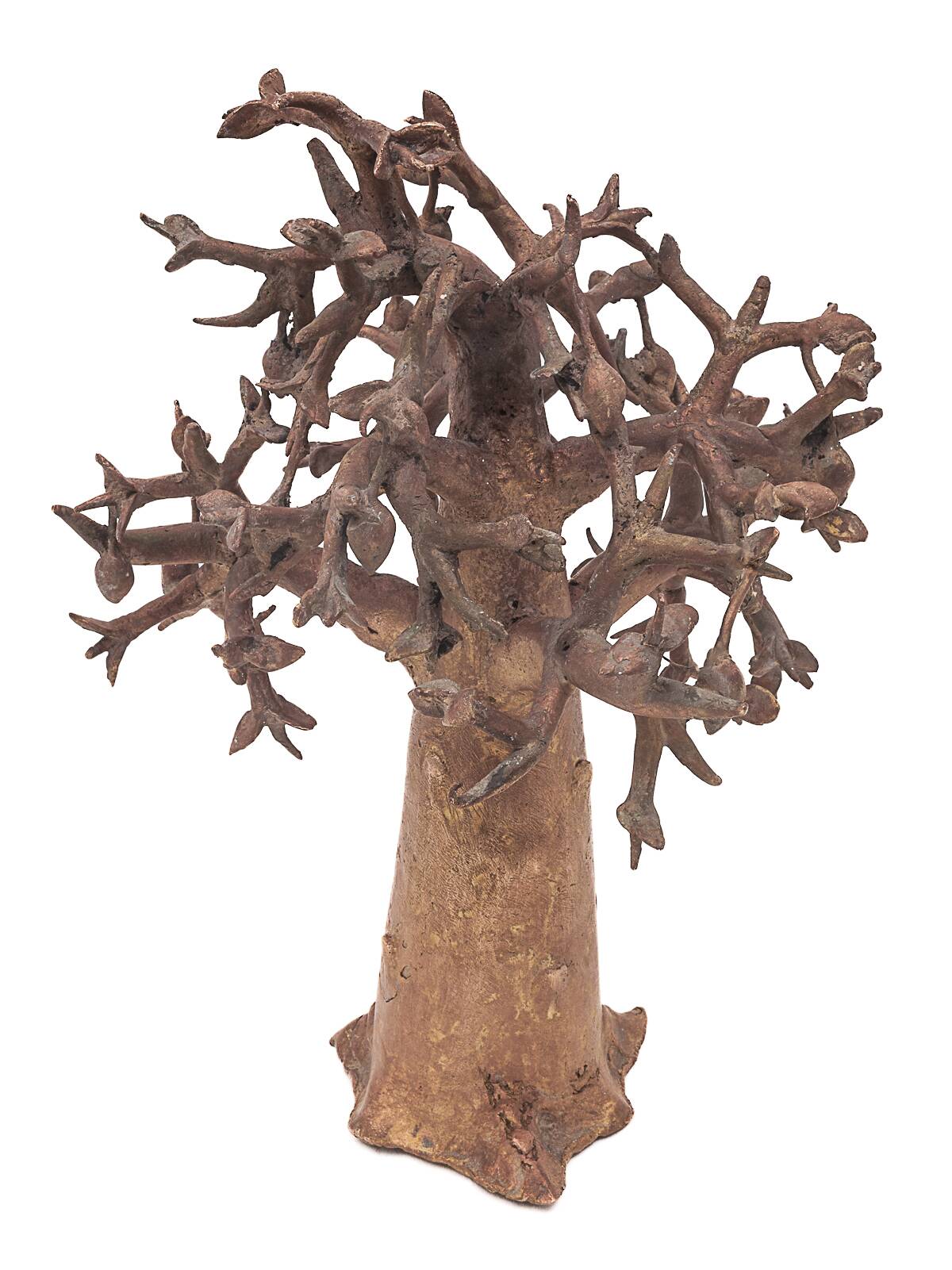 Bronze baobab