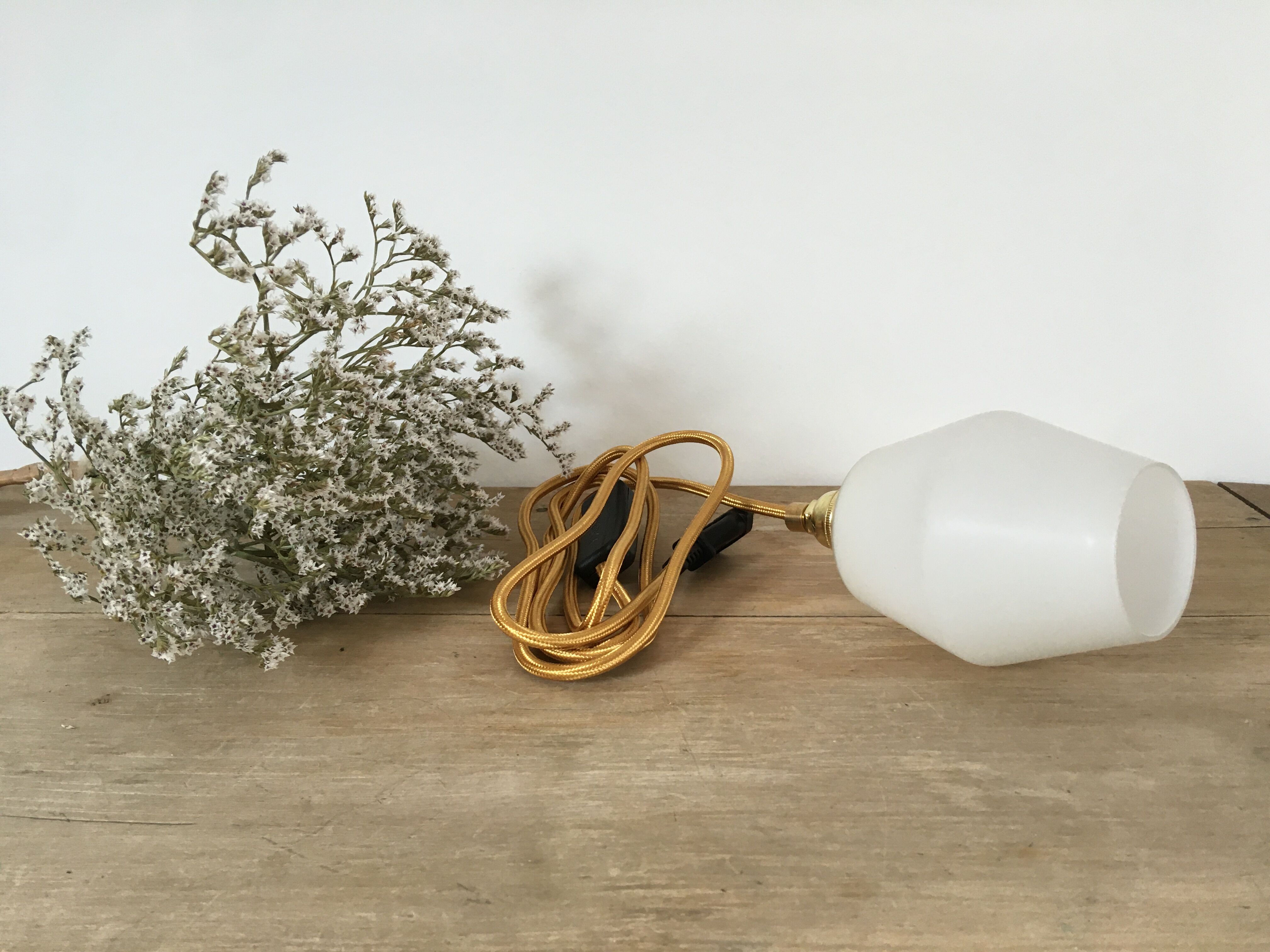 Paire de lampes baladeuses en verre dépoli