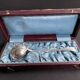 Christofle Lotus model sprinkling spoon in box – Art Nouveau