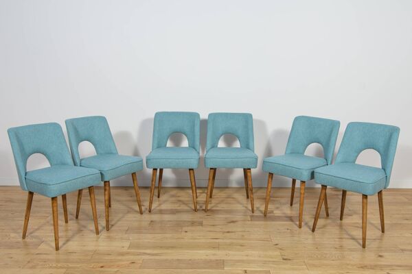 Chaises Shell de l'usine de meubles de Bydgoszcz, années 1960, Pologne, ensemble de 6.