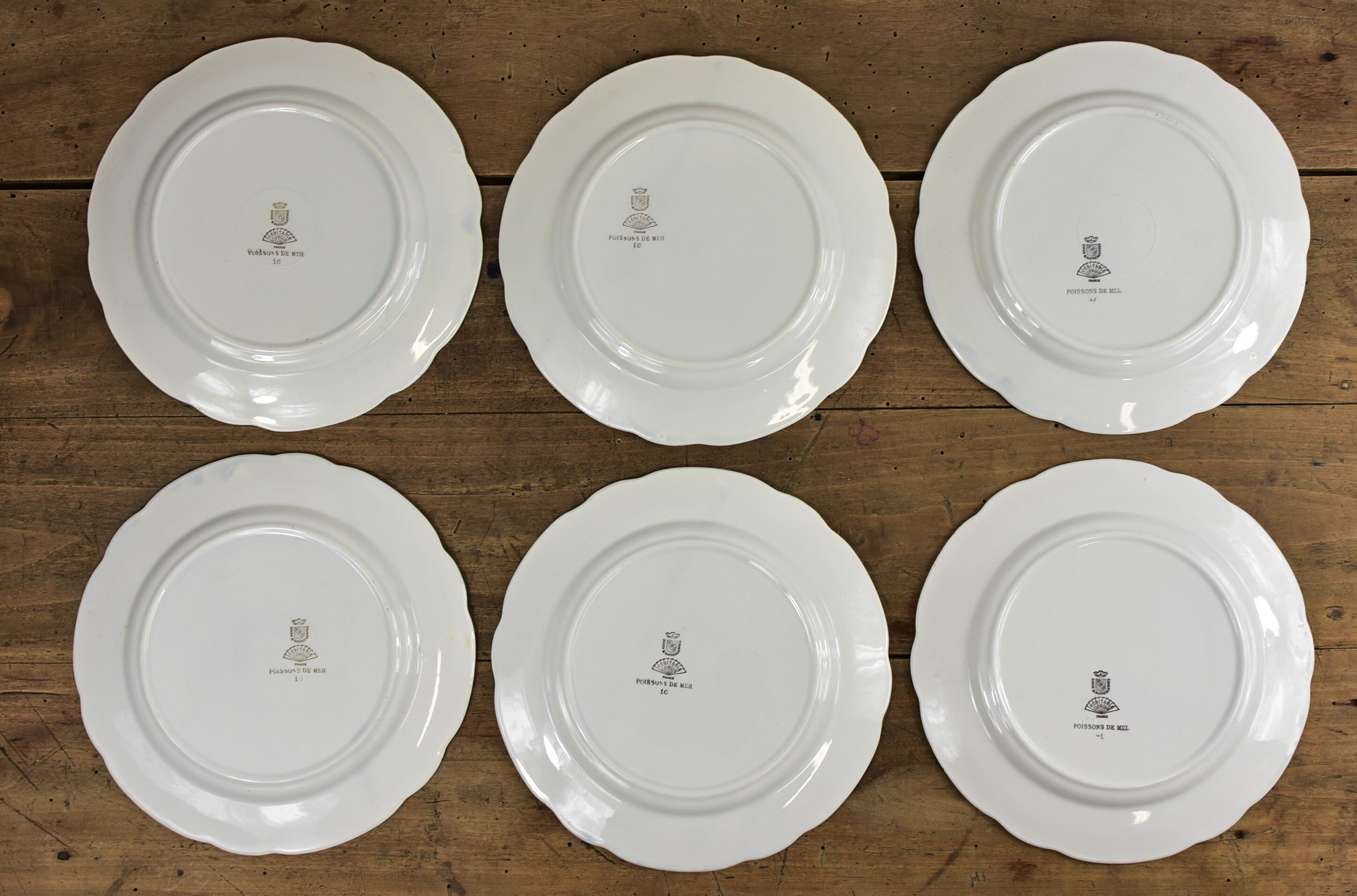 Set of 6 plates sea pattern Digoin Sarreguemines.