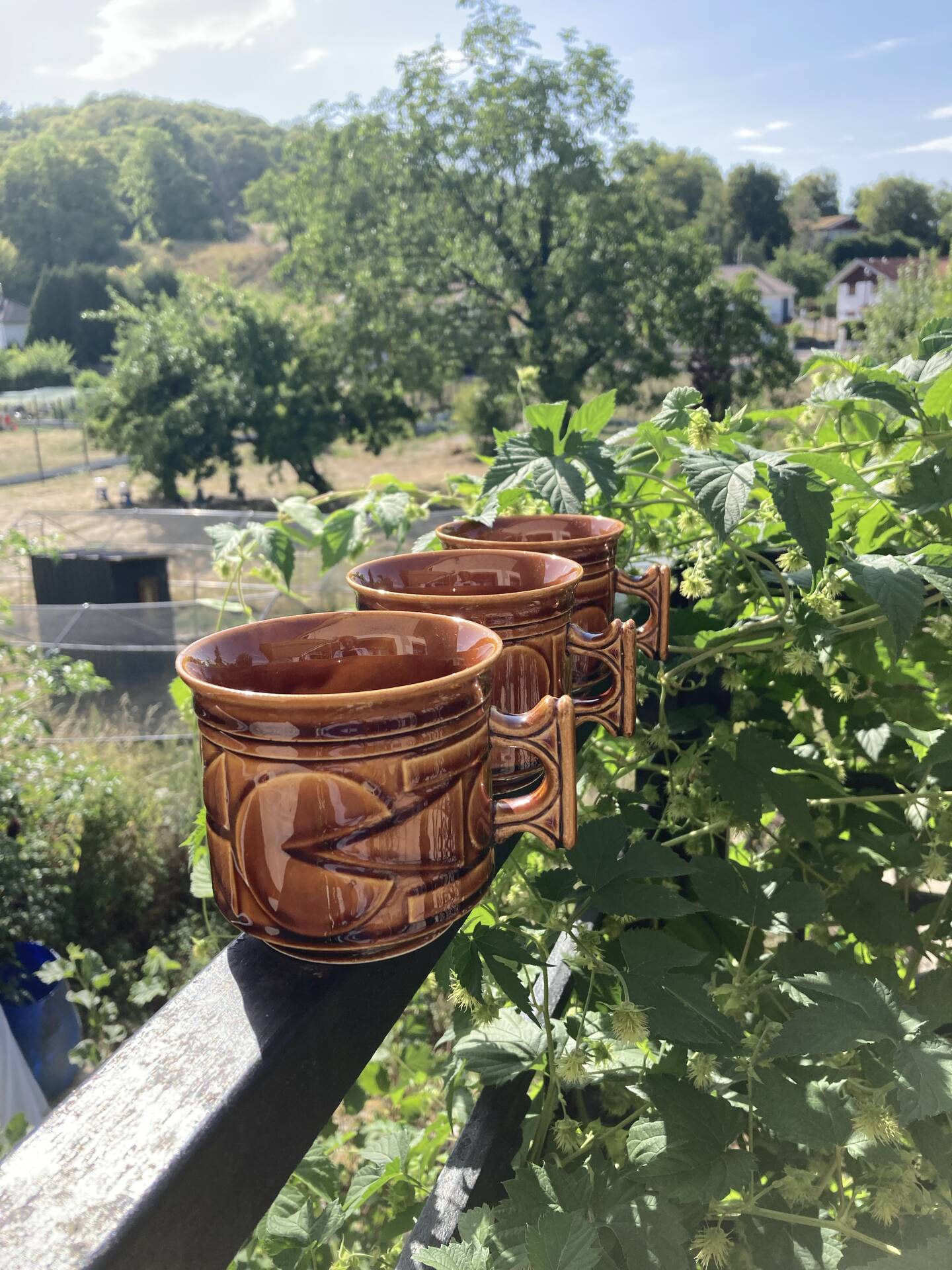 Space Age camel mugs