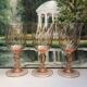 Rosaline water glasses
