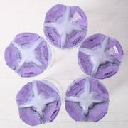 Set of 5 Vintage Lilac Tumblers / LACS Kristallglas / Italy / 1970s