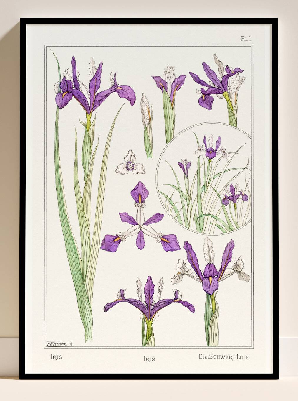 Affiche “Iris”, d’après une lithographie art nouveau de 1897