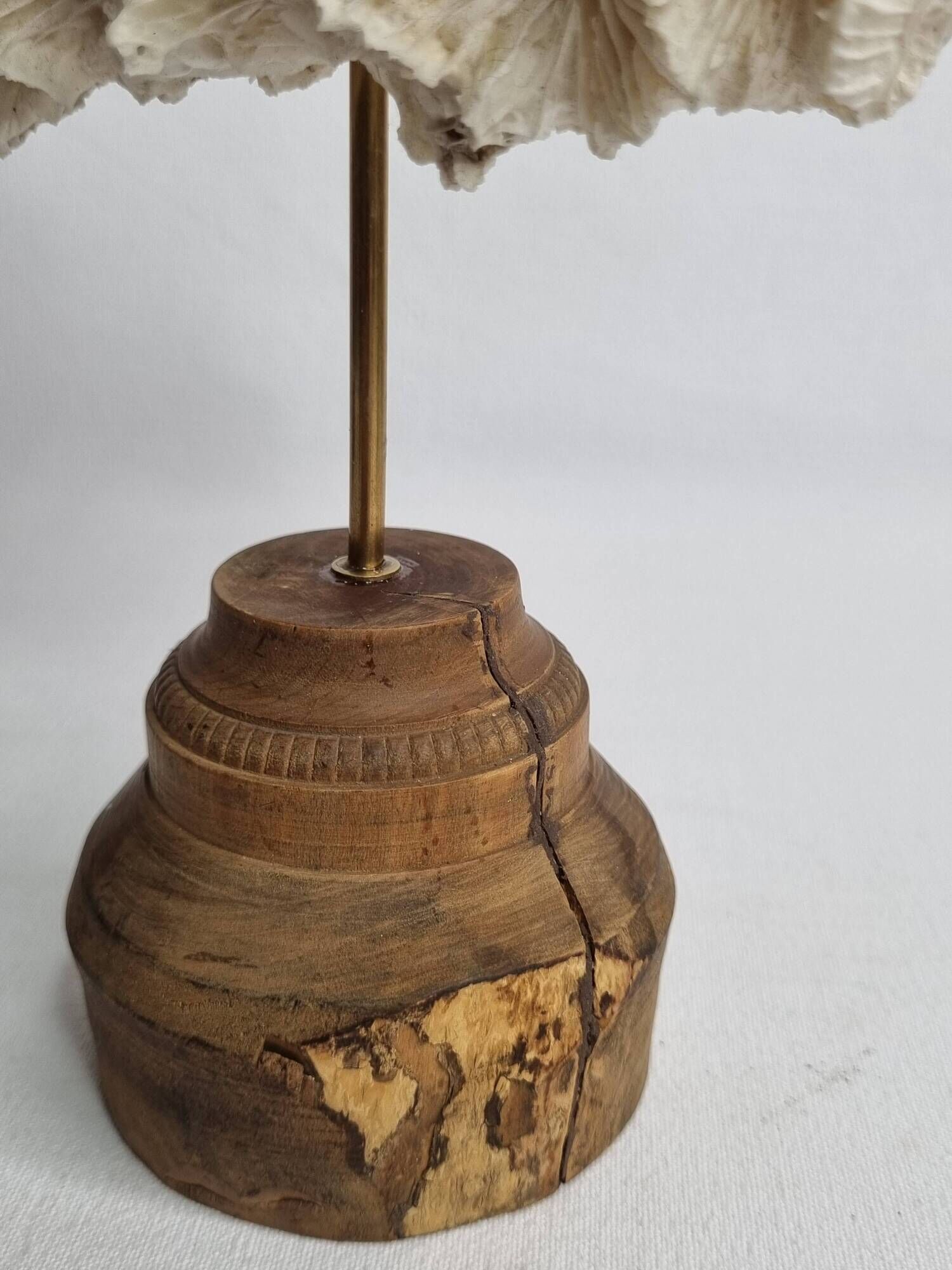 Antique white coral mounted on a turned wooden base – Height 22 cm