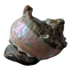 Coquillage deco