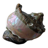 Shell decoration