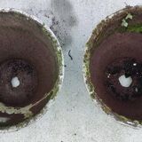 Set of 4 planters