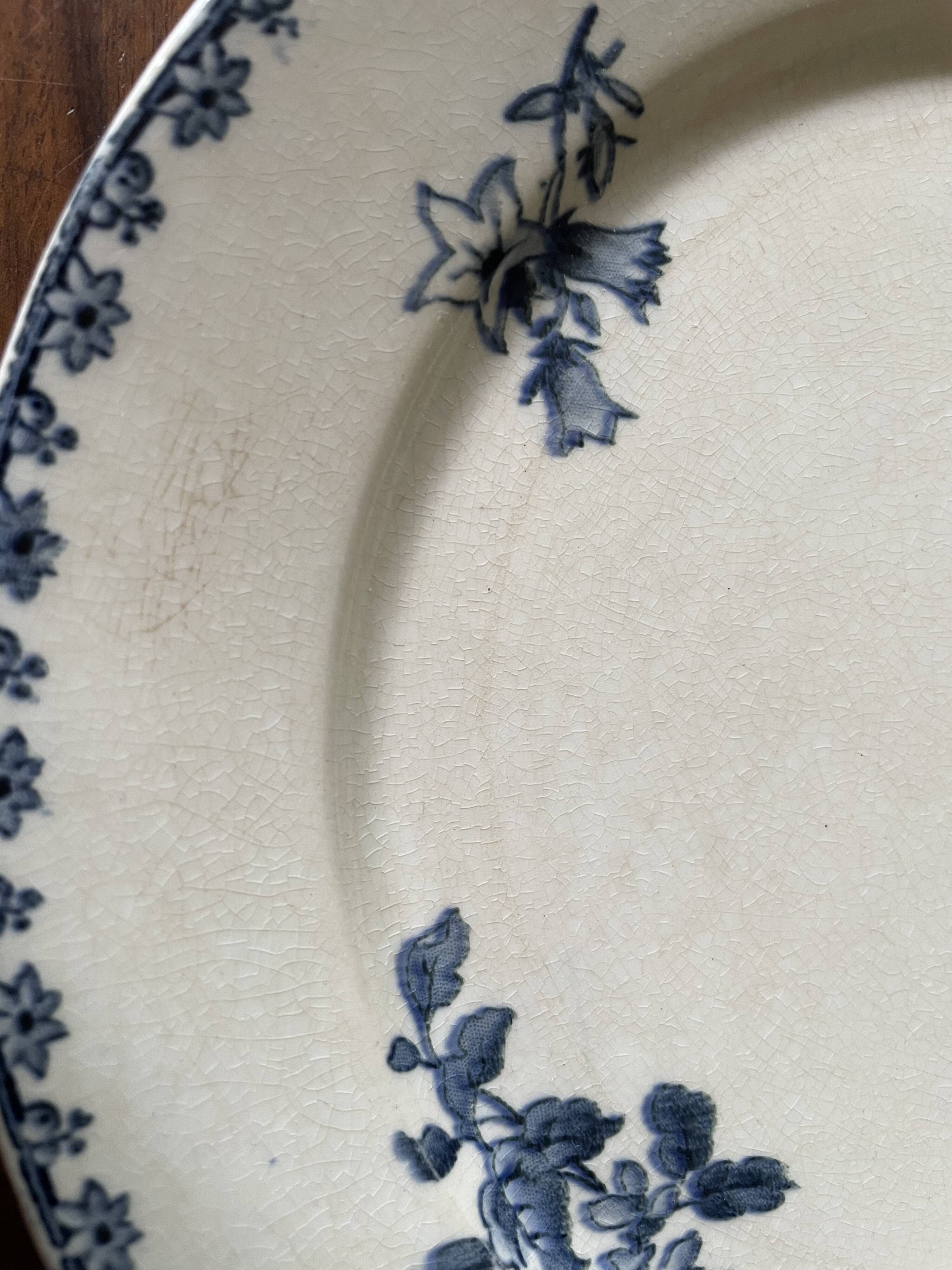 Flat plates Sarreguemines Iron Earth model Blue favorite