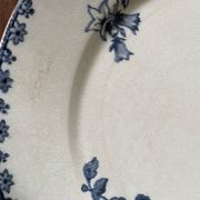 Flat plates Sarreguemines Iron Earth model Blue favorite