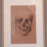 Pair of nineteenth pencil study drawings