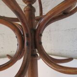 Fishel bistro parrot