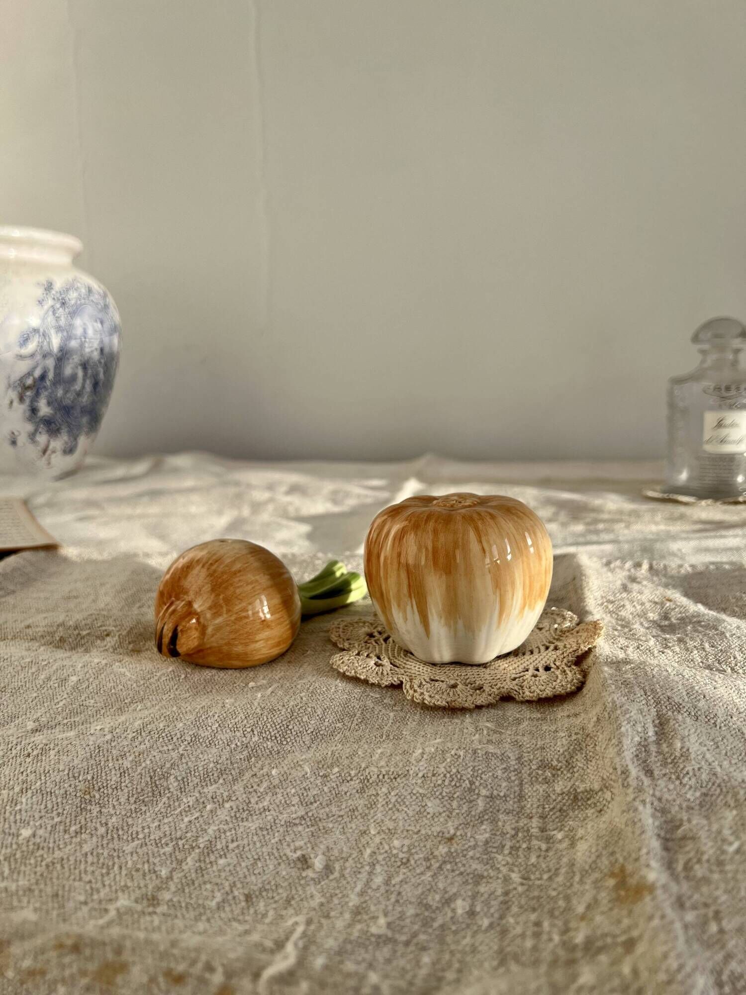 Vintage salt and pepper shaker in colorful vegetable, garlic and onion slip