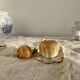 Vintage salt and pepper shaker in colorful vegetable, garlic and onion slip