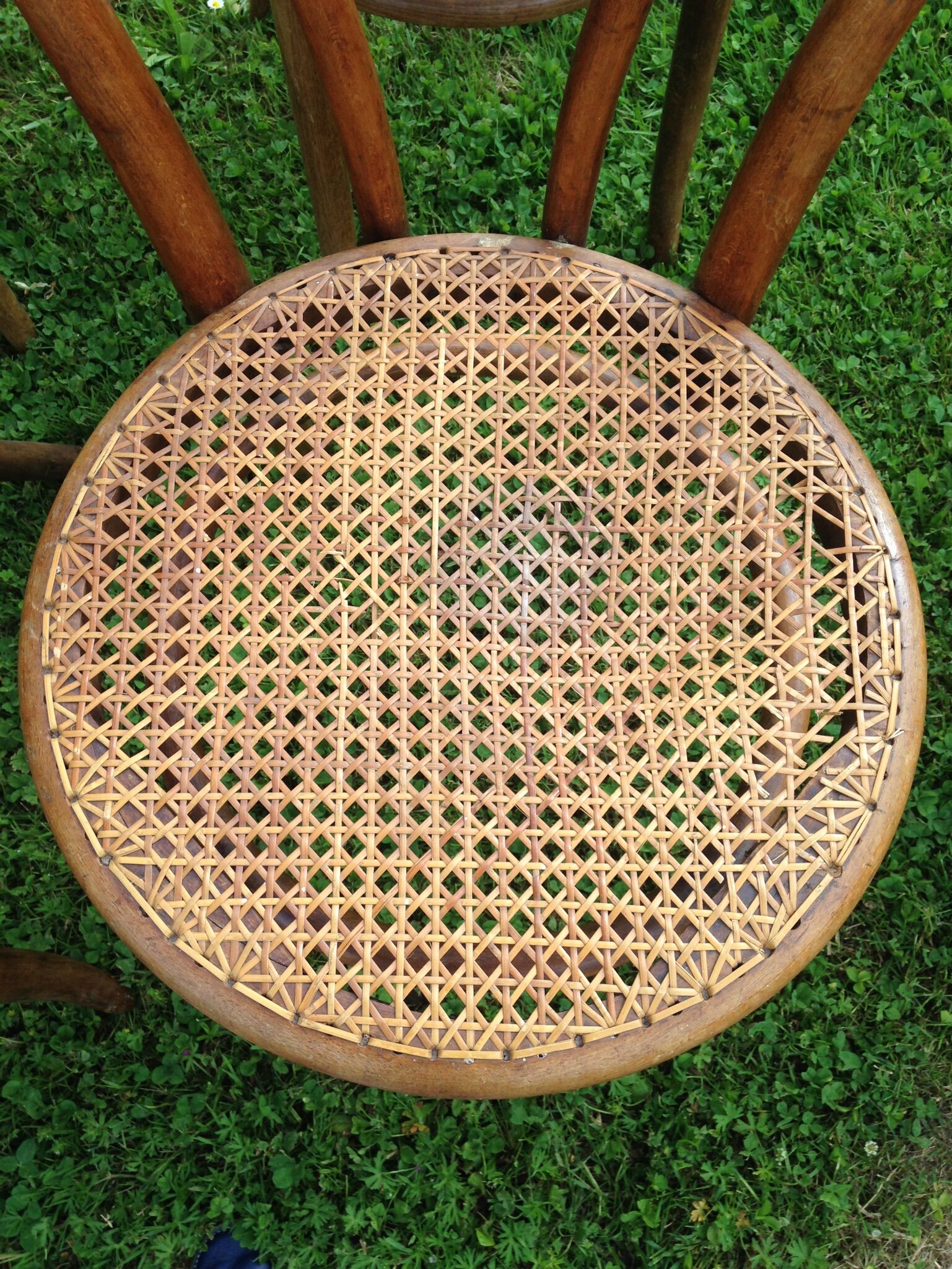 Set of 6 chairs Thonet